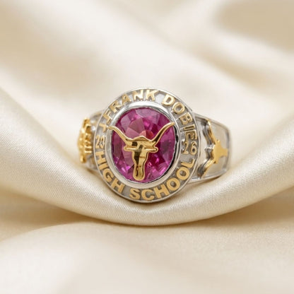 Custom Chicago School Silver Class Ring